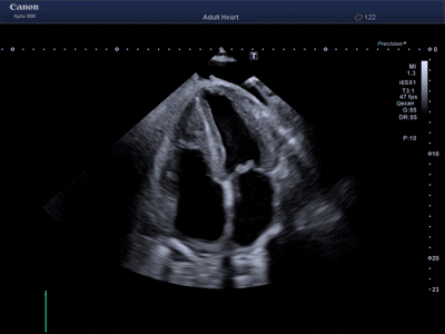0-02-05-73039fdfcefc30bd388564d9df3321cdab4c0b32728e4be61e0adb6705ca4dbc_b2210f768f5ff9a1